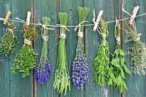 βότανα για τη θεραπεία του μύκητα των νυχιών